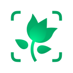 PictureThis – Identify Plants with 98% Accuracy