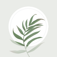 Blossom – Beautiful Plant Identifier with Care Guides