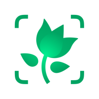 PictureThis – Identify Plants with 98% Accuracy